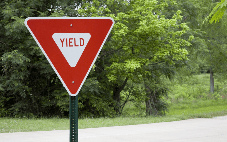 Yield Sign in a Park of Green Trees